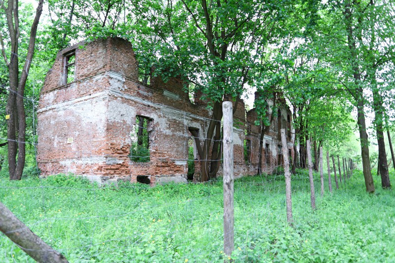 Ruiny i stawy halinowskie, fot. Jacek Kalinowski